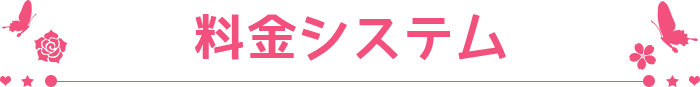 料金システム