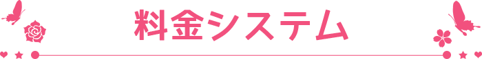 料金システム
