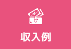 収入例