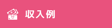 収入例
