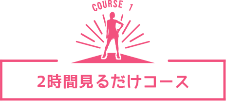 見るだけ2時間コース
