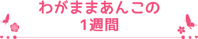 わがままあんこの1週間