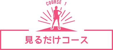 見るだけコース