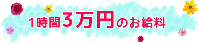 1時間3万円のお給料
