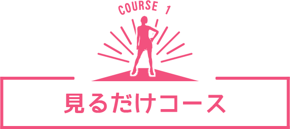 見るだけコース