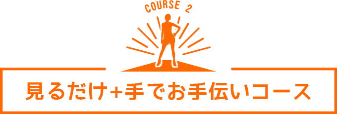 見るだけ+手でお手伝いコース